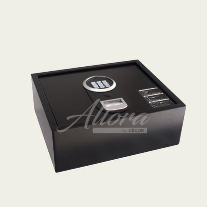 D1541N - Safety Deposit Box