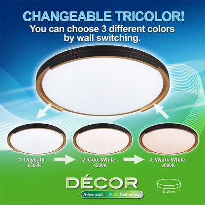 GOLDIE L.E.D. Ceiling Light