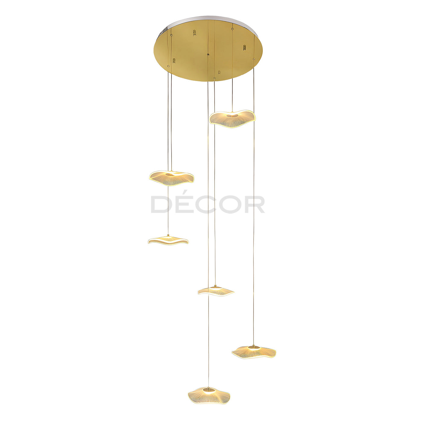 DAISY L.E.D. Drop Light (Tri-color)