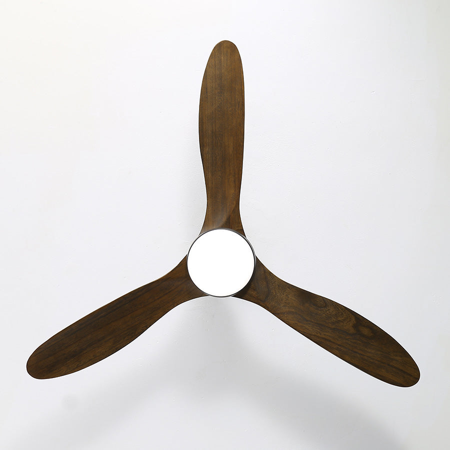 FAIRWIND Ceiling Fan