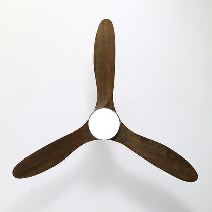 FAIRWIND Ceiling Fan