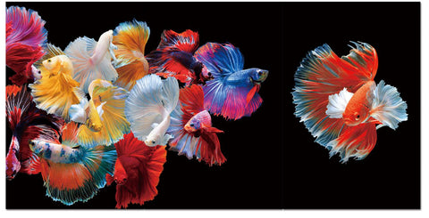 FIGHTING FISH - ART PRINT