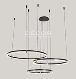FERNA L.E.D. Drop Light