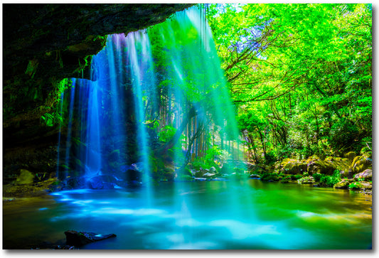 RAIN FOREST - ART PRINT (100cm H x 150cm W)