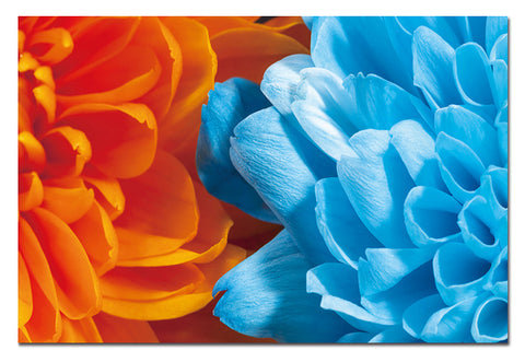 ORANGE AND BLUE FLOWER- ART PRINT