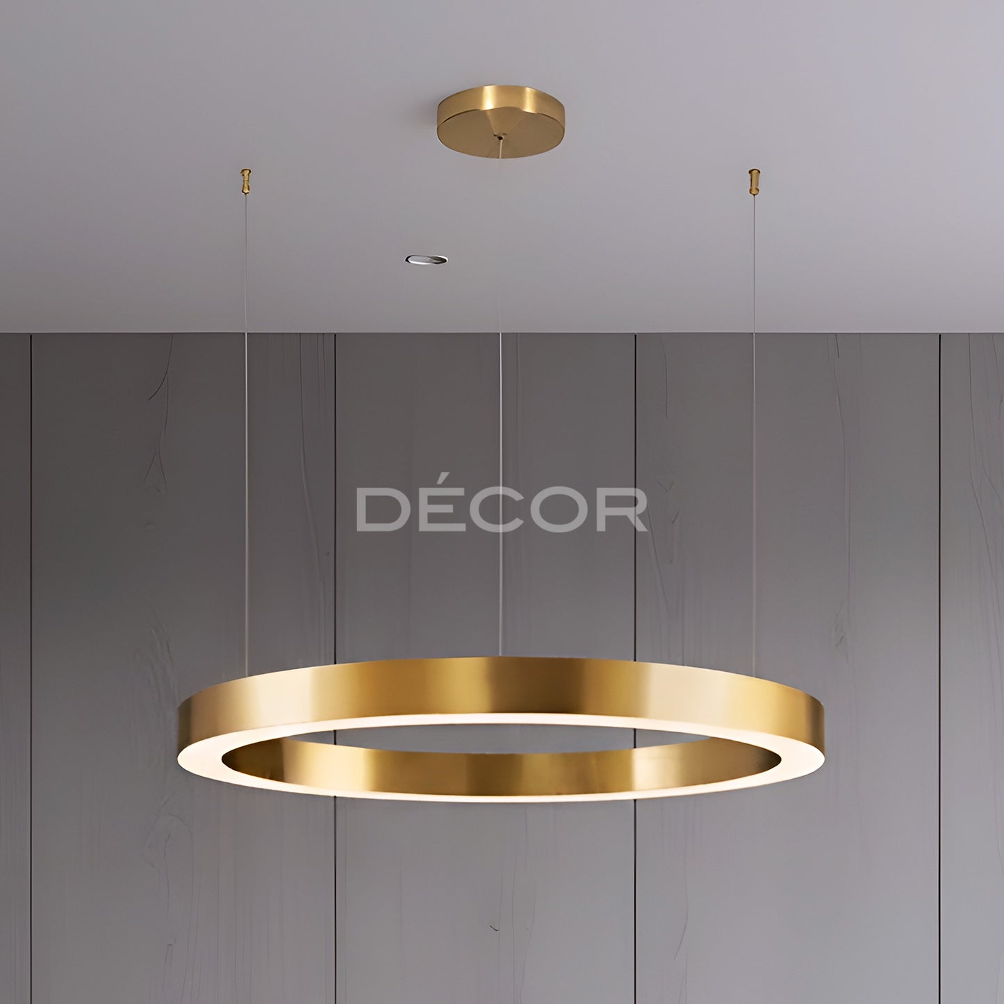 RINGLET L.E.D. (ø100cm) Drop Light (Tri-Color)