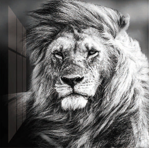 THE WISE LION - ART PRINT