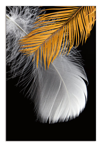 Golden Feathers - Art Print