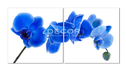 Blue Flowers (2pcs) - Art Print