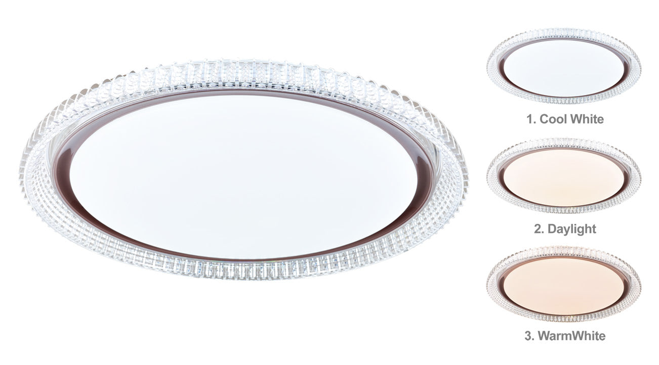CORAL L.E.D. Ceiling Light