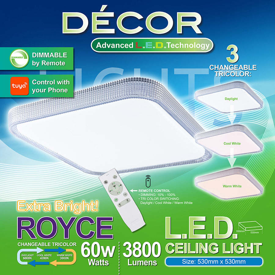 ROYCE L.E.D. Ceiling Light