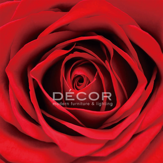Red Rose - Art Print